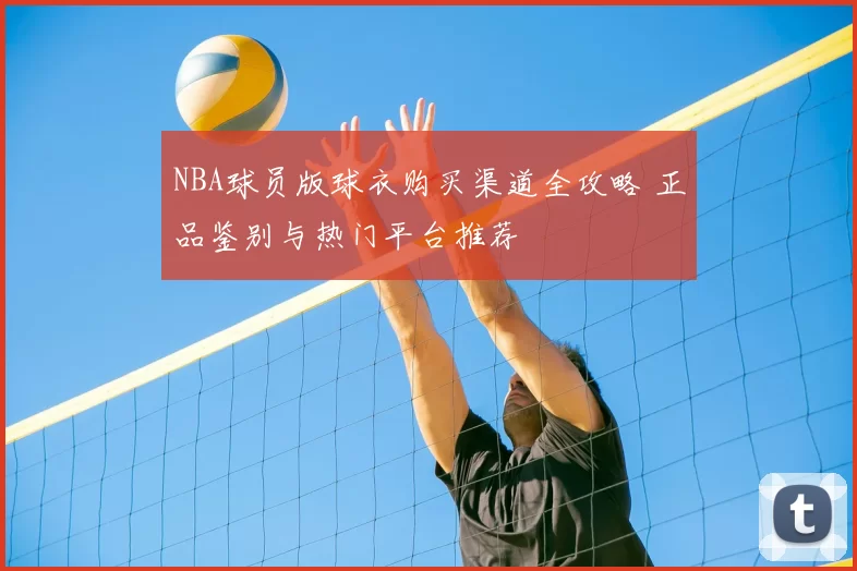 NBA球员版球衣购买渠道全攻略 正品鉴别与热门平台推荐